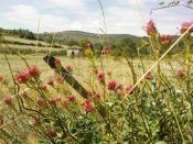 pesmo ze St. Paul smerem do Prades