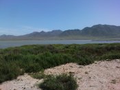 Salinas de Cabo de Gala - solne laguny, jarni zastavka pro ptactvo, zejmena plamenaky, vracejici se na sever