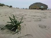 Playa de Monsul se sedym piskem a vulanickymi vyrelinami